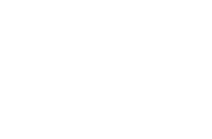 AEIOU Foundation - 